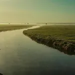 بيت للعطل Le Domaine Des Roseraies, Monfréville